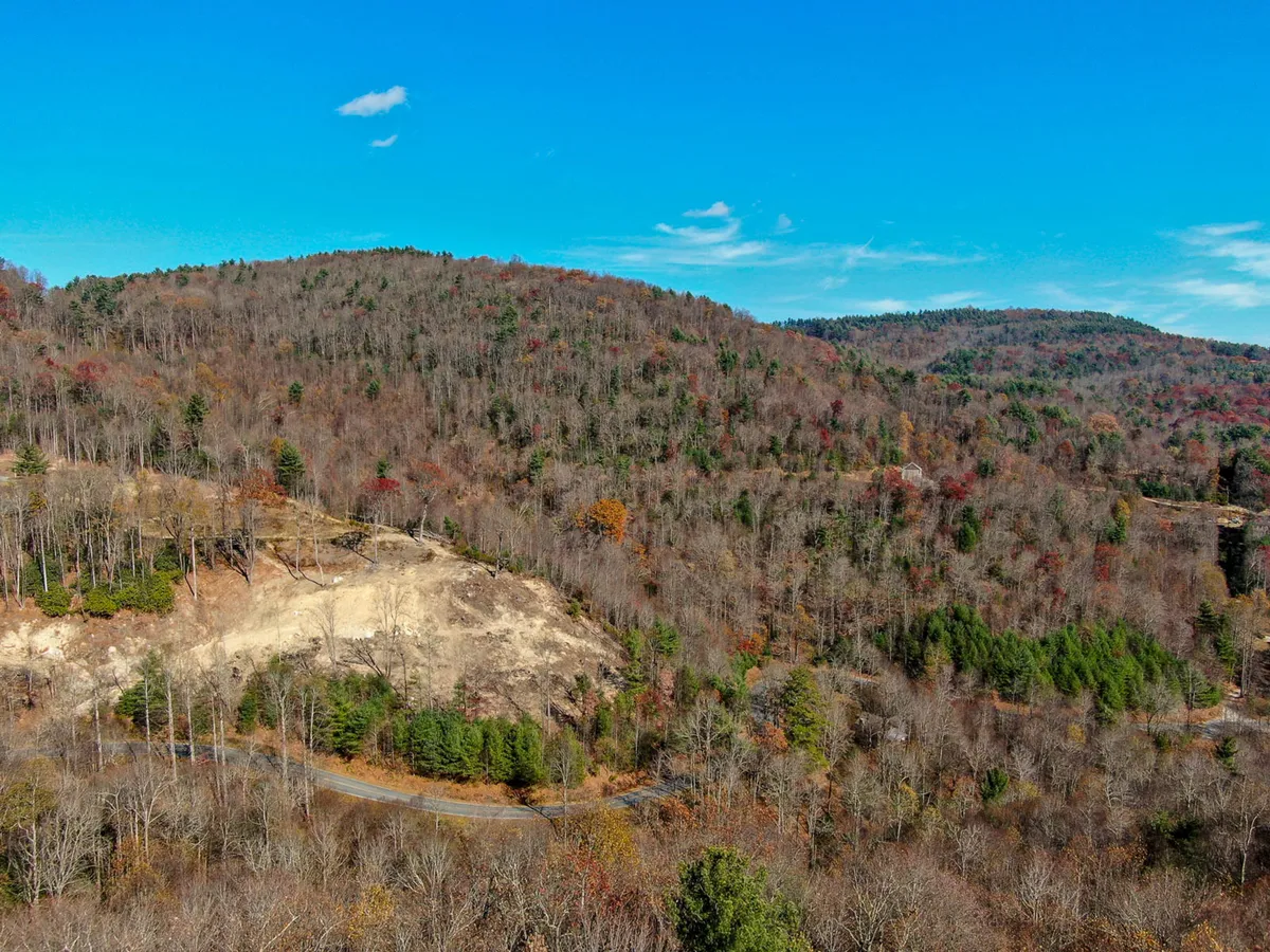 A sweeping view of rolling hills dotted with scattered trees under a clear blue sky. The landscape is lush and expansive, evoking the beauty of the Blue Ridge Parkway in spring or summer. The setting is ideal for hiking, nature photography, and wildlife observation, with hints of wildflower blooms and open spaces.