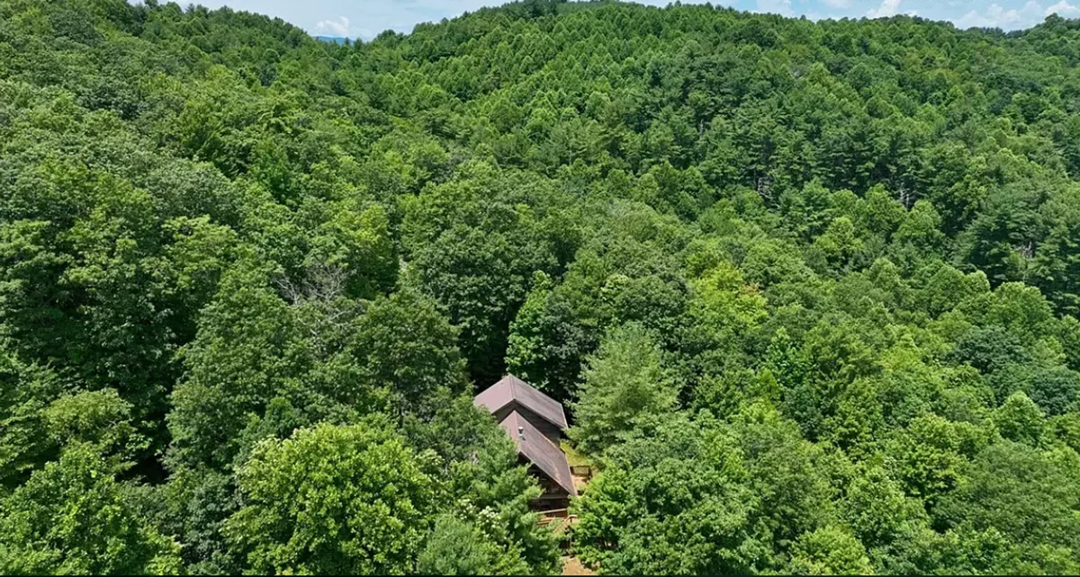 This view features the house nestled among dense trees and lush greenery, with visible nature trails and a tranquil mountain backdrop. The scene conveys the sense of seclusion and immersion in nature, perfect for outdoor activities like hiking and nature walks with pets.