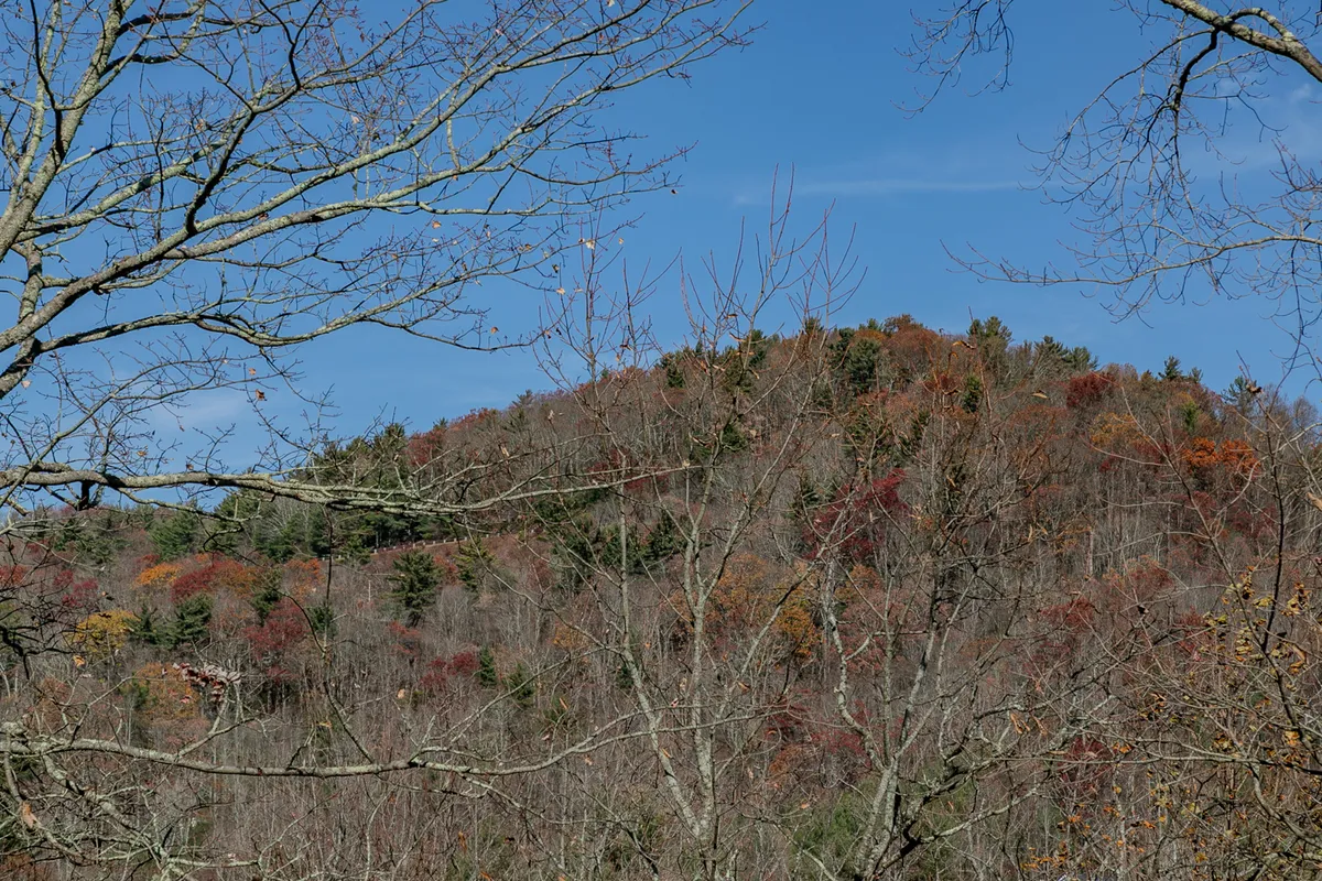 A wide view of vibrant autumn foliage with distant mountain peaks and bare branches, encapsulating the scenic beauty of the High Country and its inviting outdoor adventures.